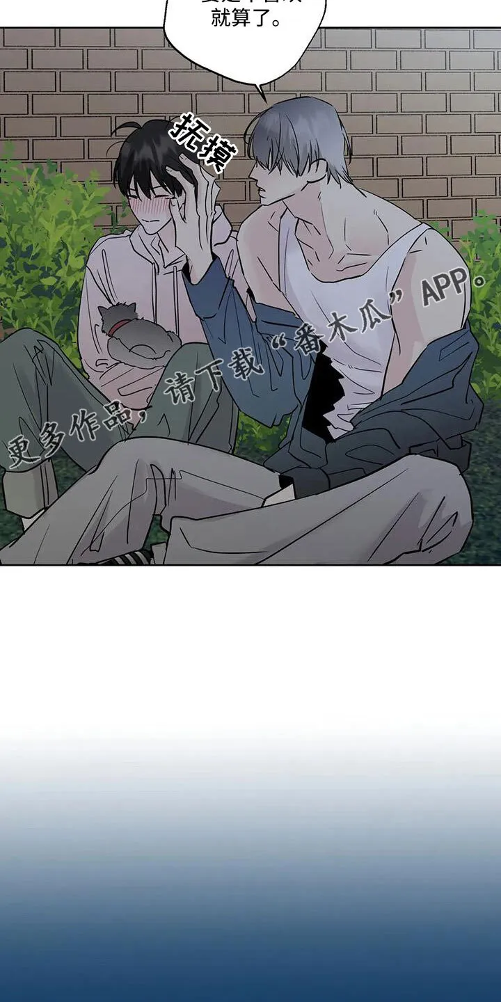第53章：晴天霹雳 第13页
