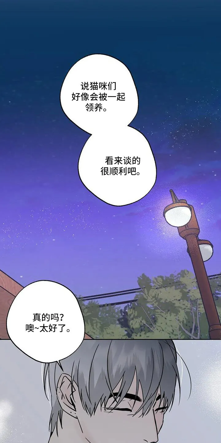 第53章：晴天霹雳 第14页
