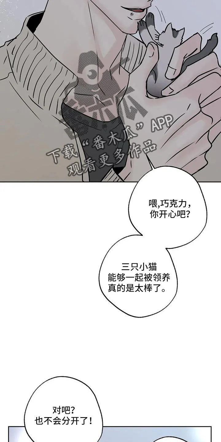 第53章：晴天霹雳 第15页