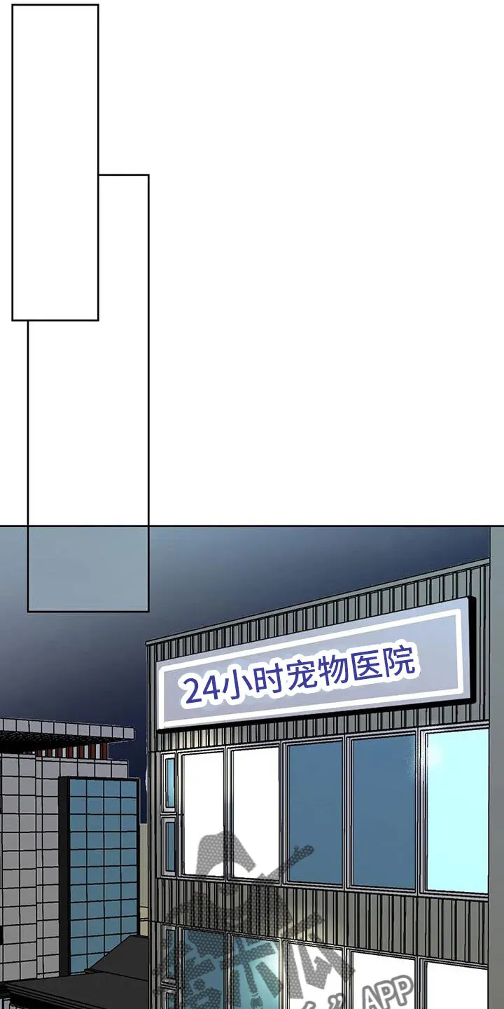 第53章：晴天霹雳 第22页