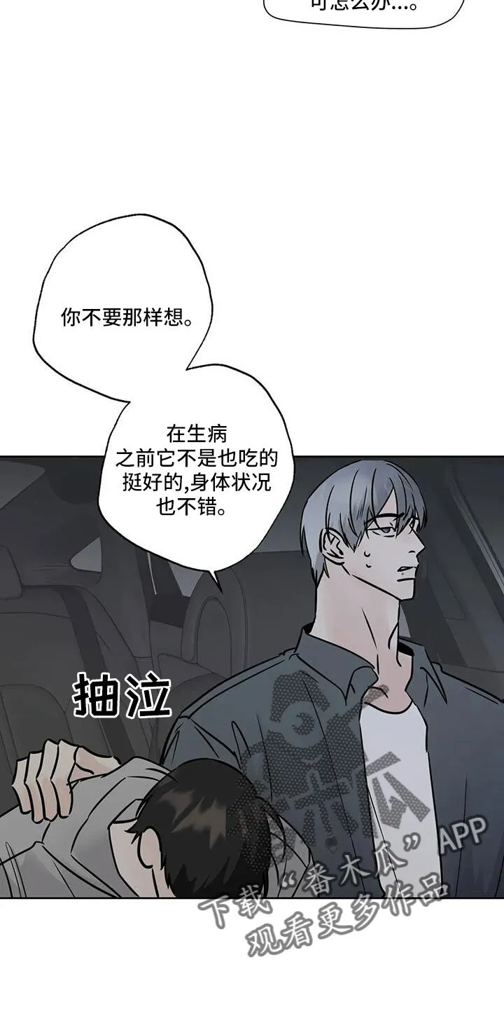第53章：晴天霹雳 第26页