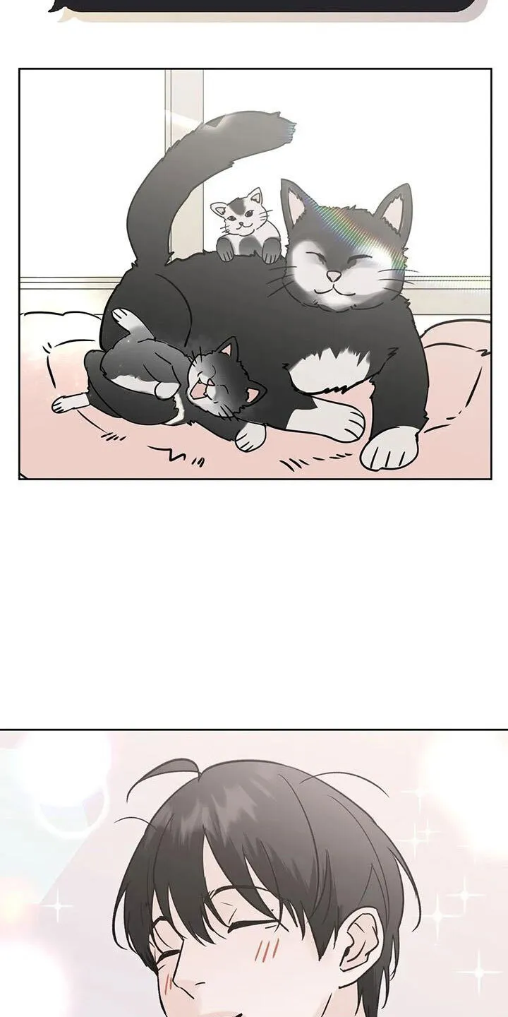 第54章：诈骗 第7页