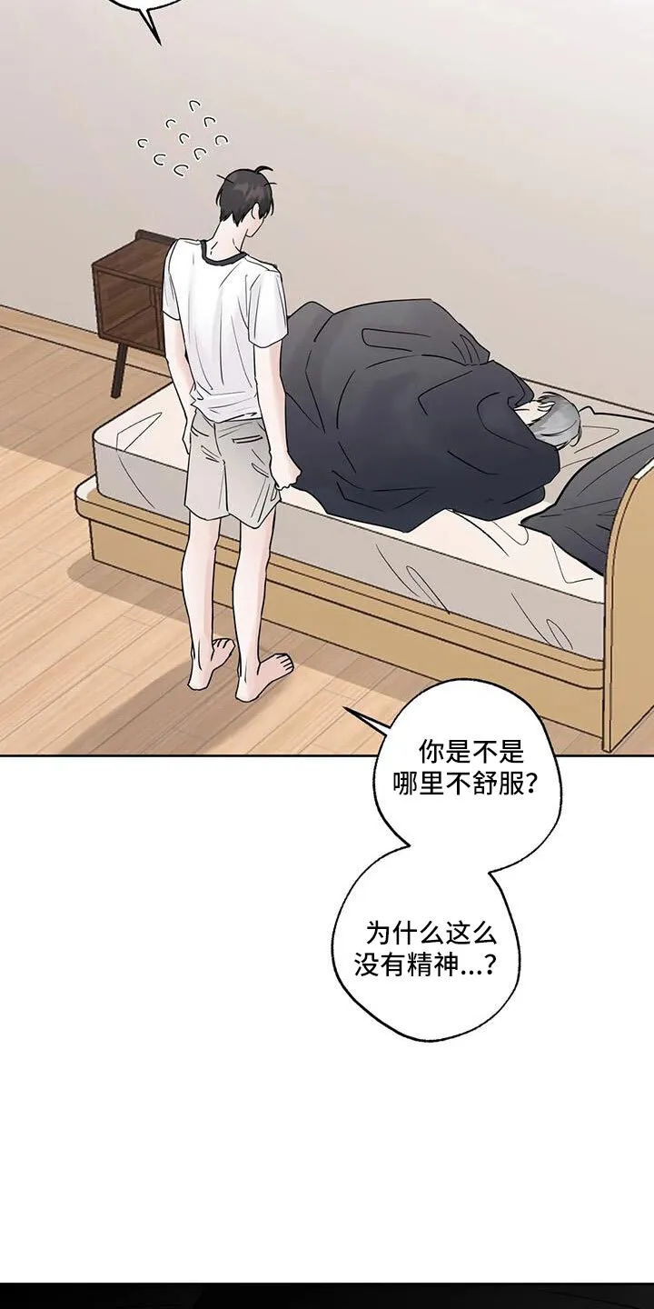第54章：诈骗 第19页
