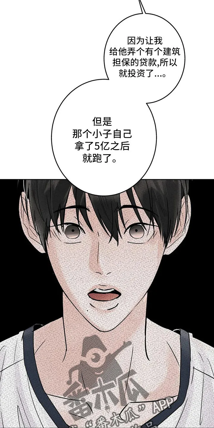 第55章：5个亿 第5页