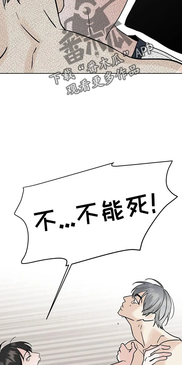 第55章：5个亿 第11页