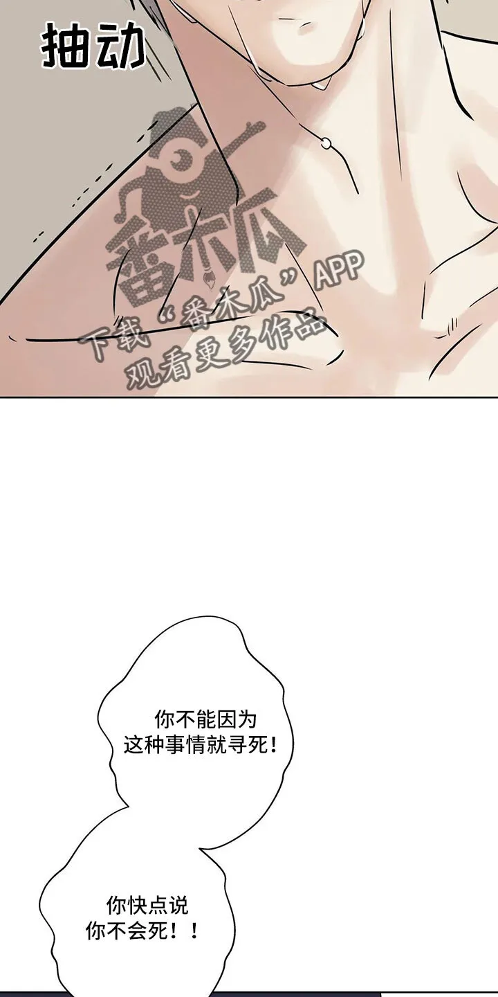 第55章：5个亿 第13页