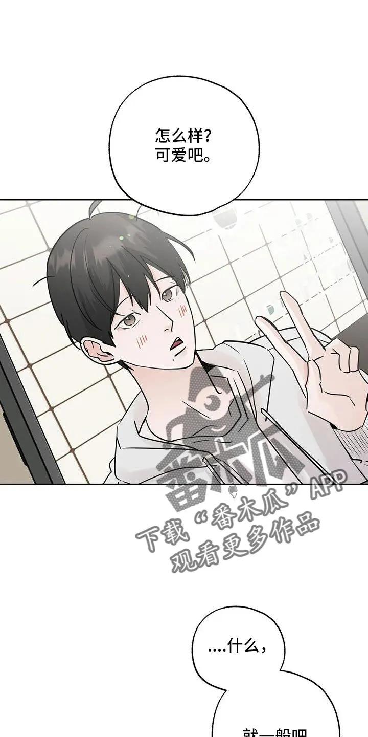 第68章：好安心 第18页