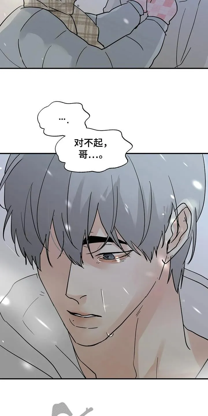第122章：【第三季】对不起 第21页