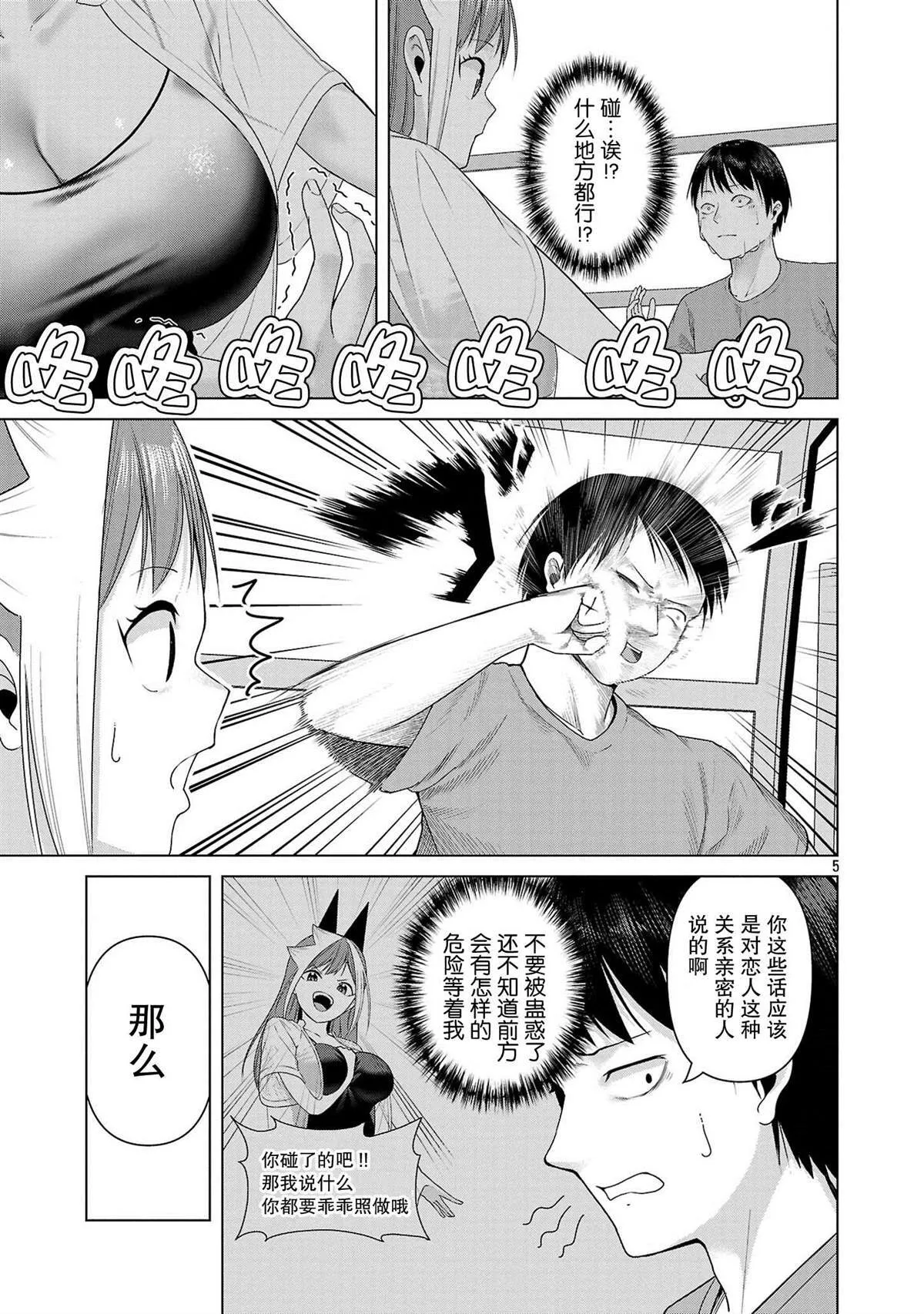 13 第5页