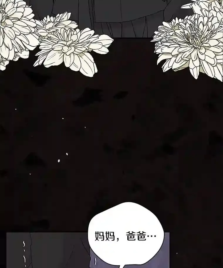 0.怎么会变成这样 第27页