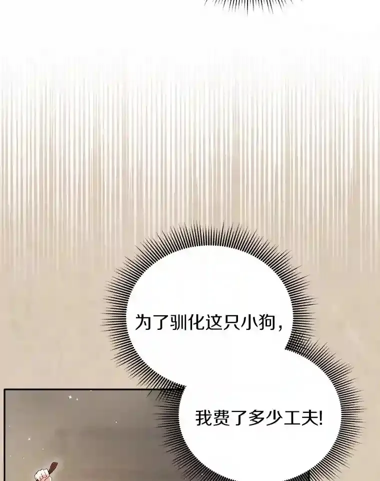 2.他们终于找来了 第15页
