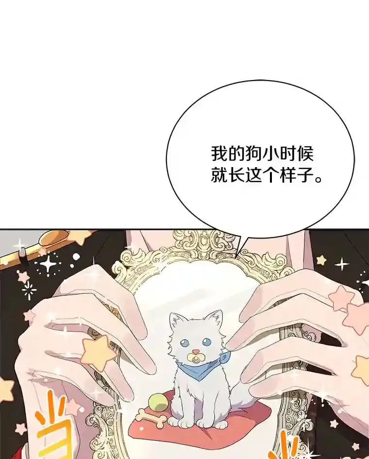 3.一起去泰尔西翁 第5页
