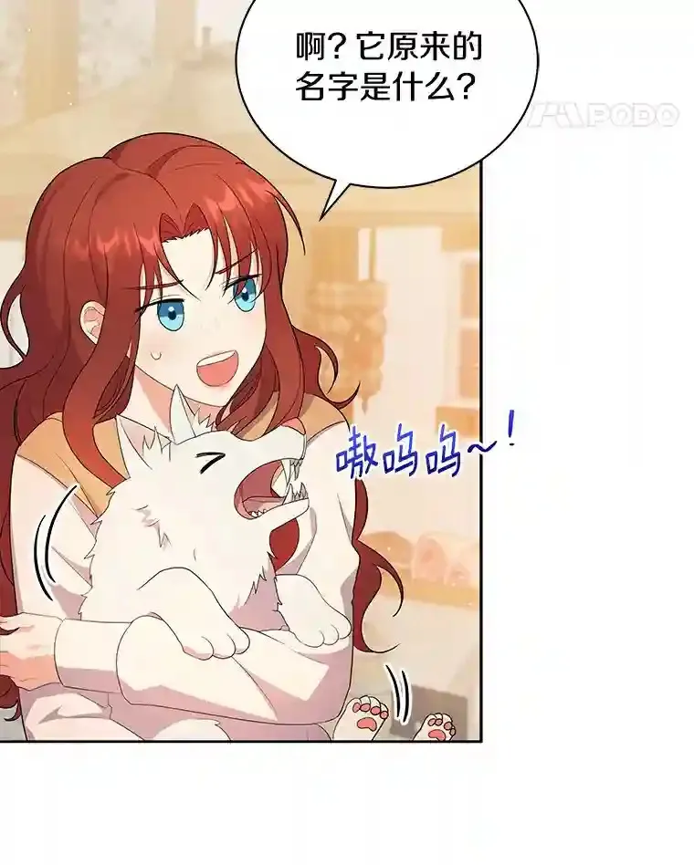 3.一起去泰尔西翁 第71页