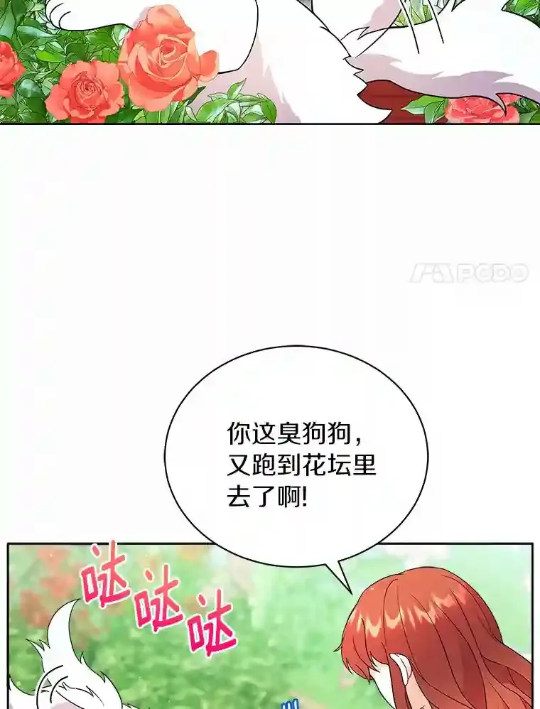 9.她居然还活着 第11页