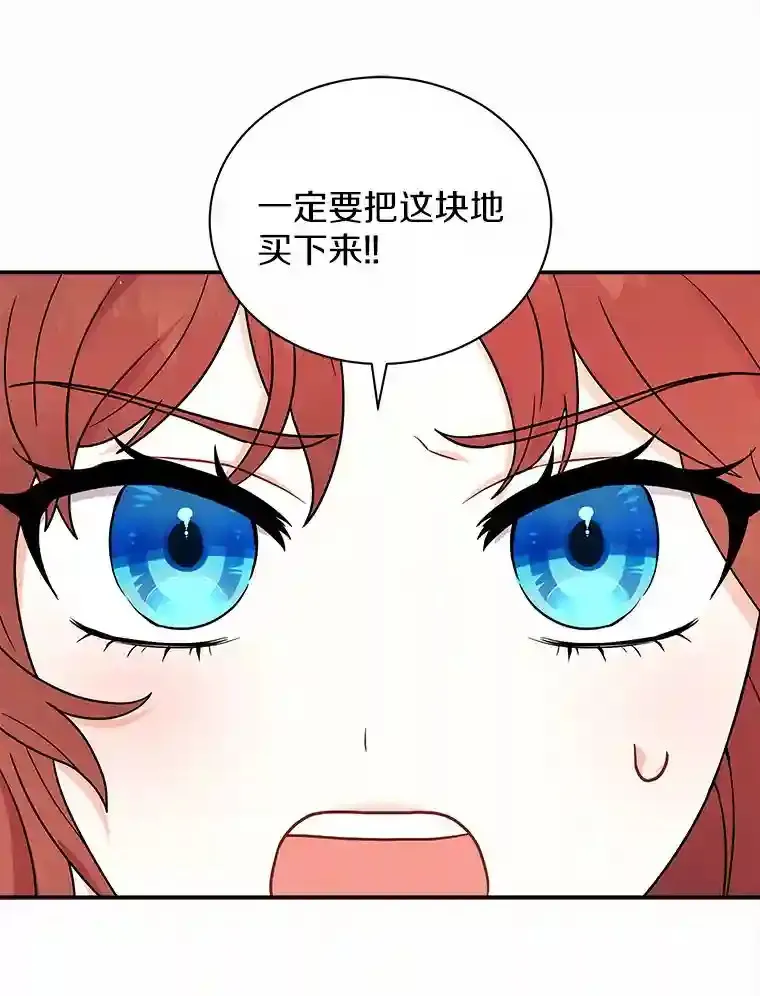 10.一定要买这块地 第11页