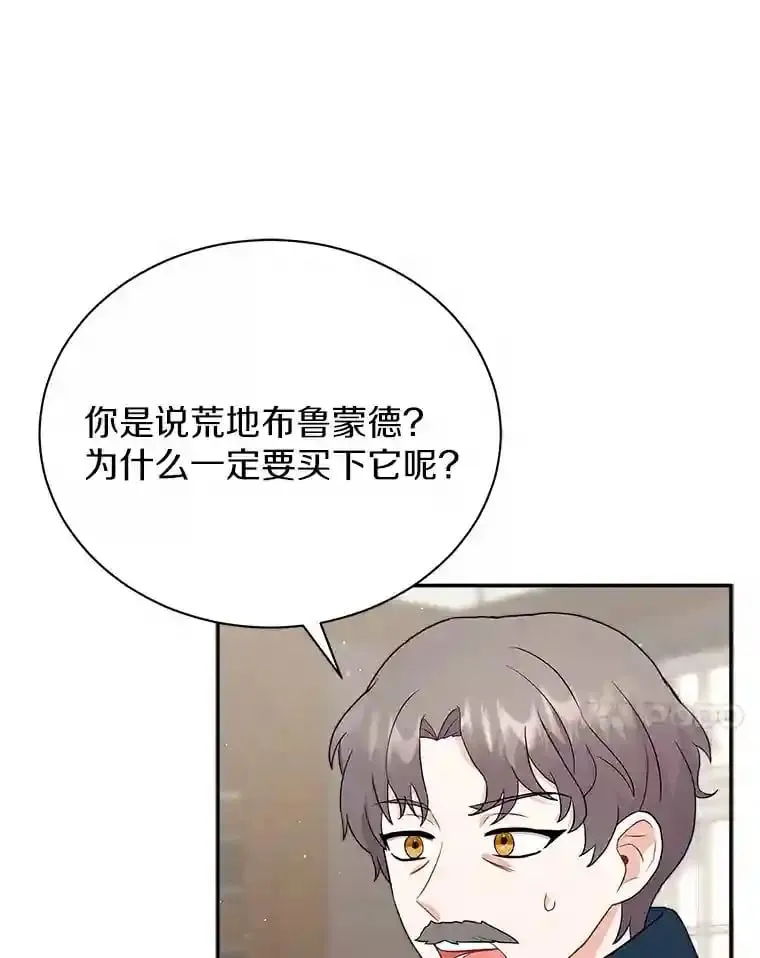 10.一定要买这块地 第14页