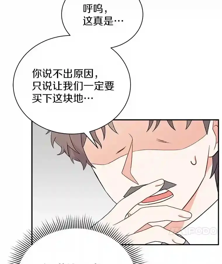 10.一定要买这块地 第35页