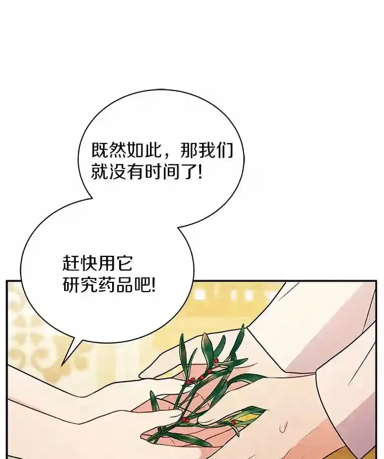 10.一定要买这块地 第78页