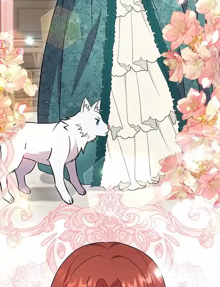 13.她是个天才 第34页