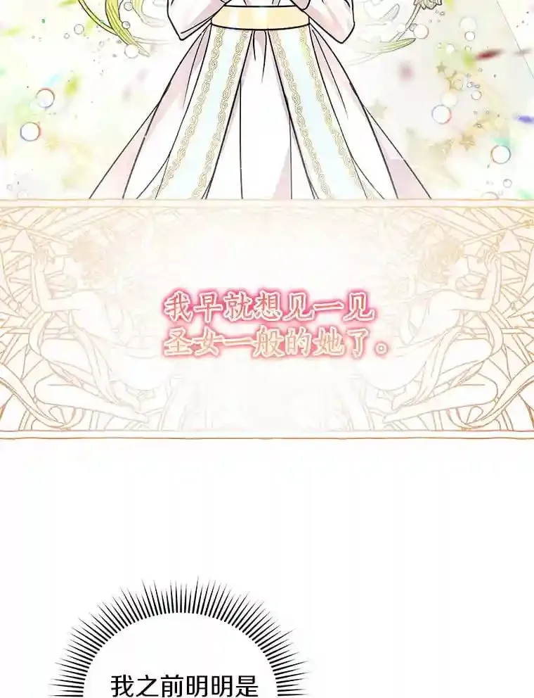 17.她来了 第96页
