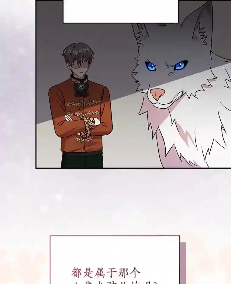 19.她凭什么 第95页