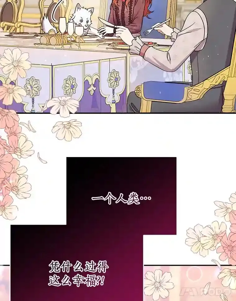 20.他们要回来了 第11页