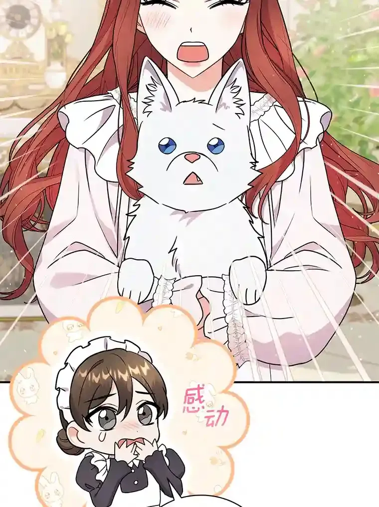 31.我来帮你打扮 第29页