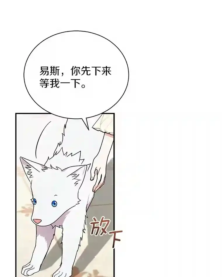 31.我来帮你打扮 第63页