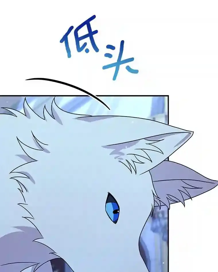 36.彻查 第20页
