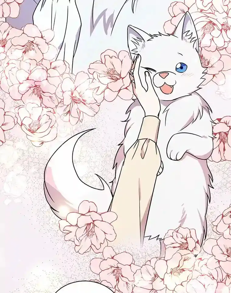 36.彻查 第26页