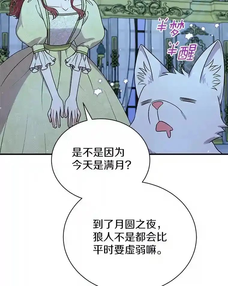 38.化人形了 第98页