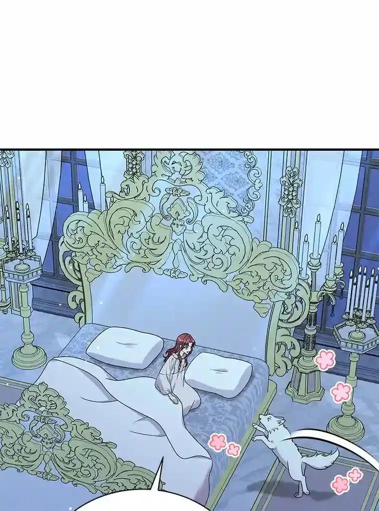 38.化人形了 第109页