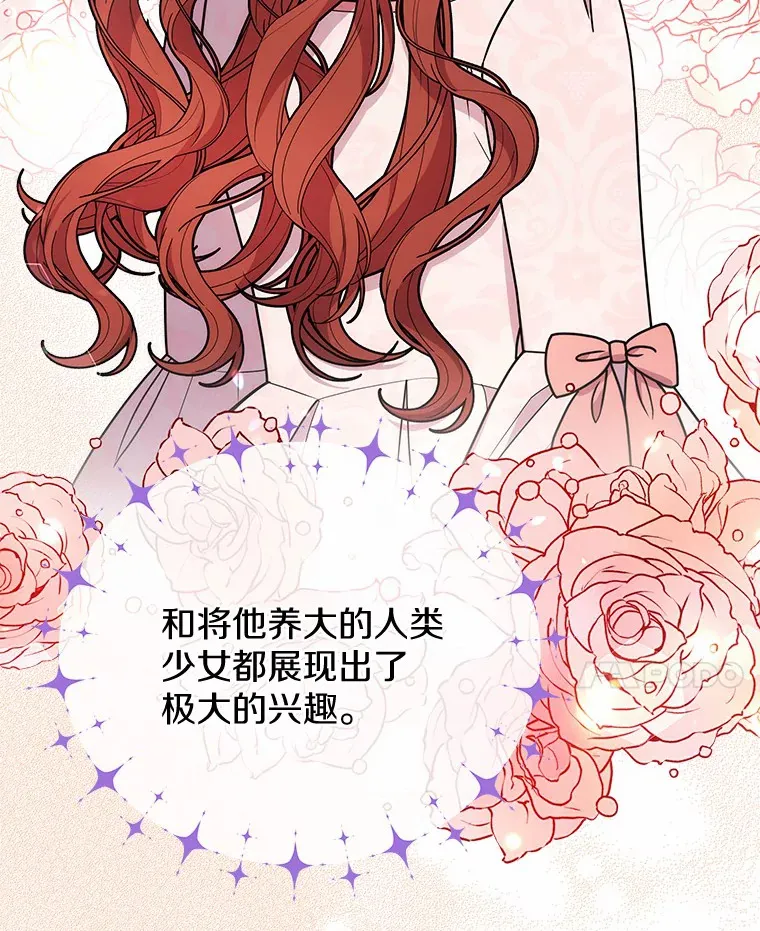 43.举办庆典 第68页