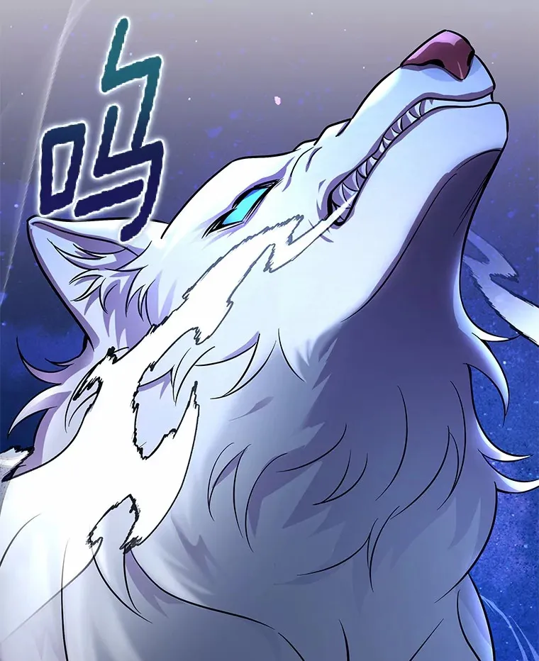 49.白魔法师 第66页
