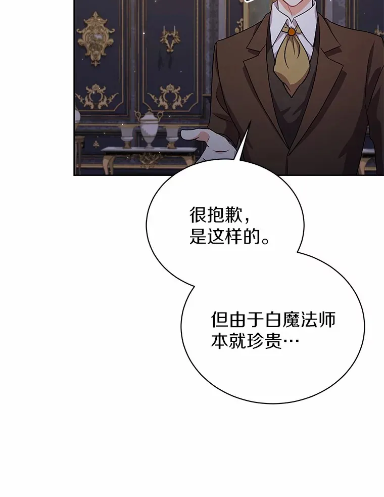 49.白魔法师 第100页