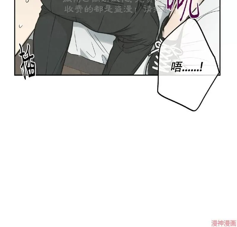 第79话 第66页