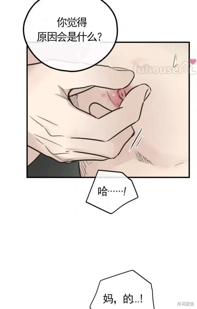 第81话 第41页