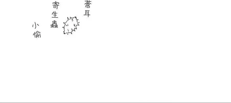 第35回 第19页