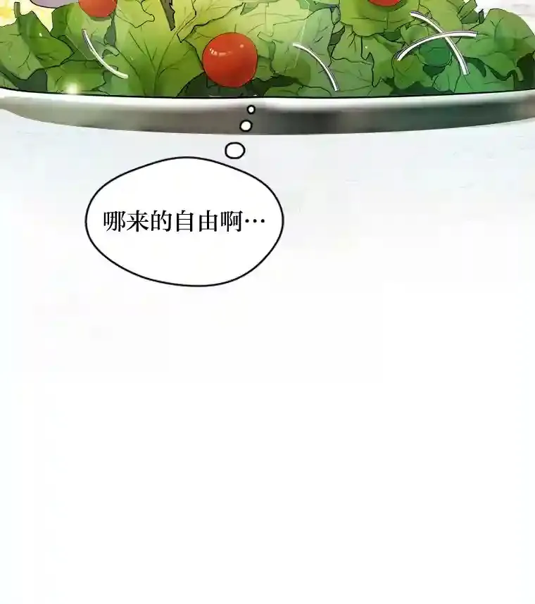 1.停更噩耗 第70页
