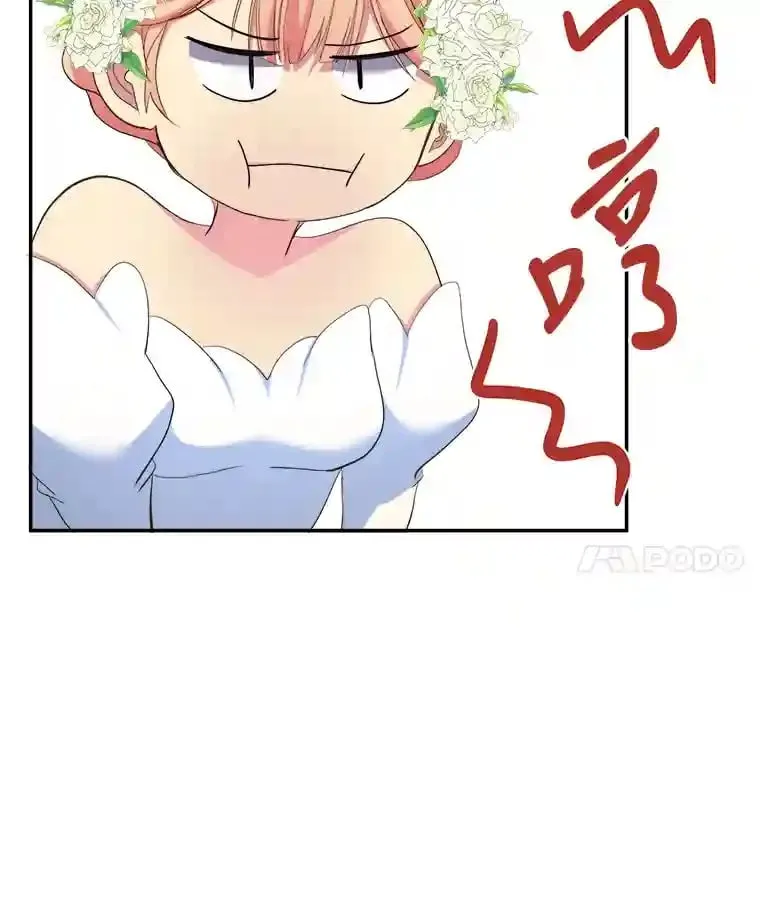 12.婚礼进行时 第67页