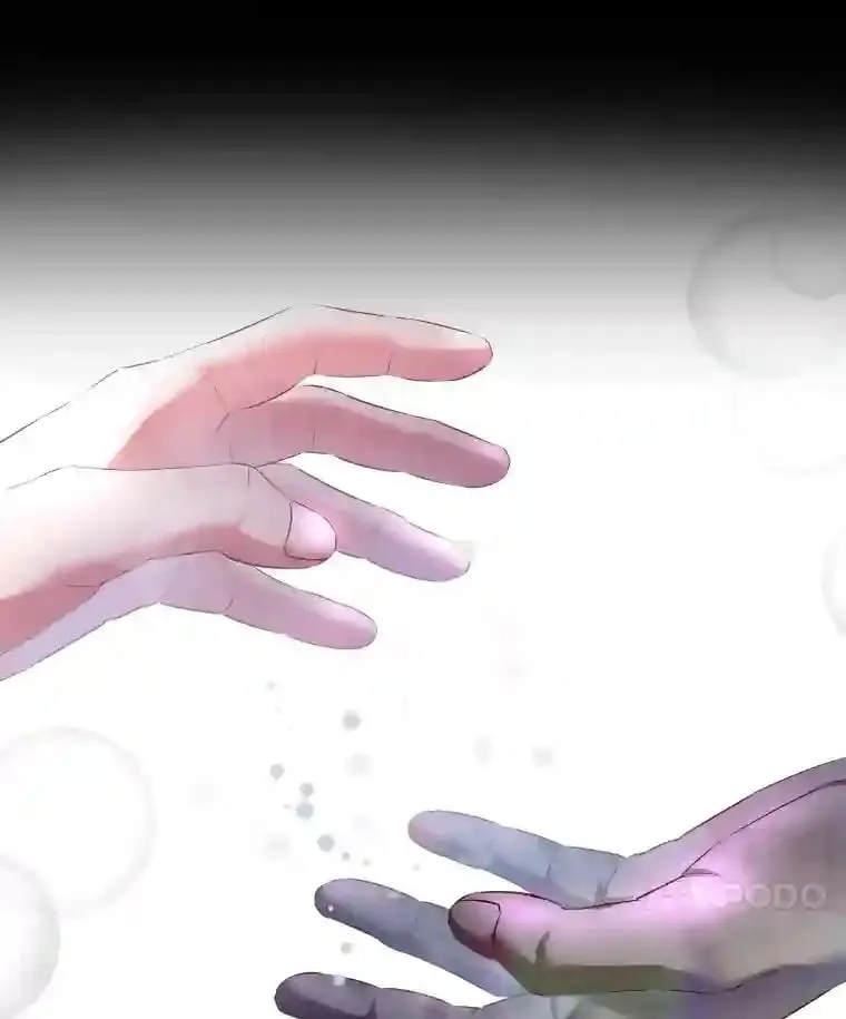 17.他的夫人 第11页