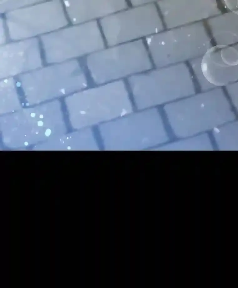17.他的夫人 第23页