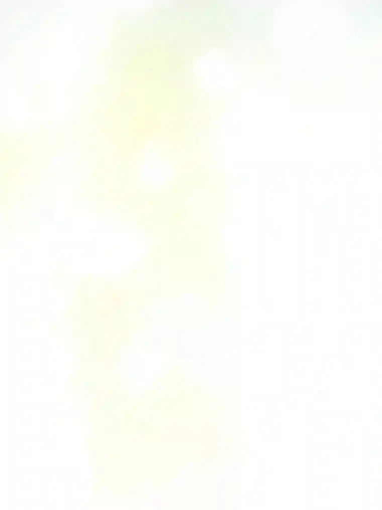 17.他的夫人 第61页