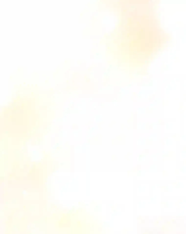 18.神秘赞助人 第13页