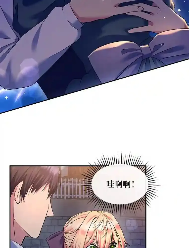 23.情侣庆典 第66页