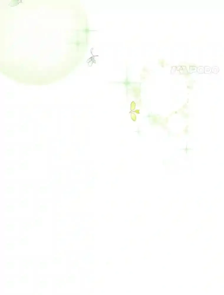 24.两个人的庆典 第70页