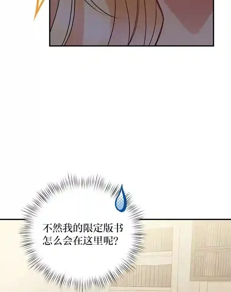 27.限定版 第93页