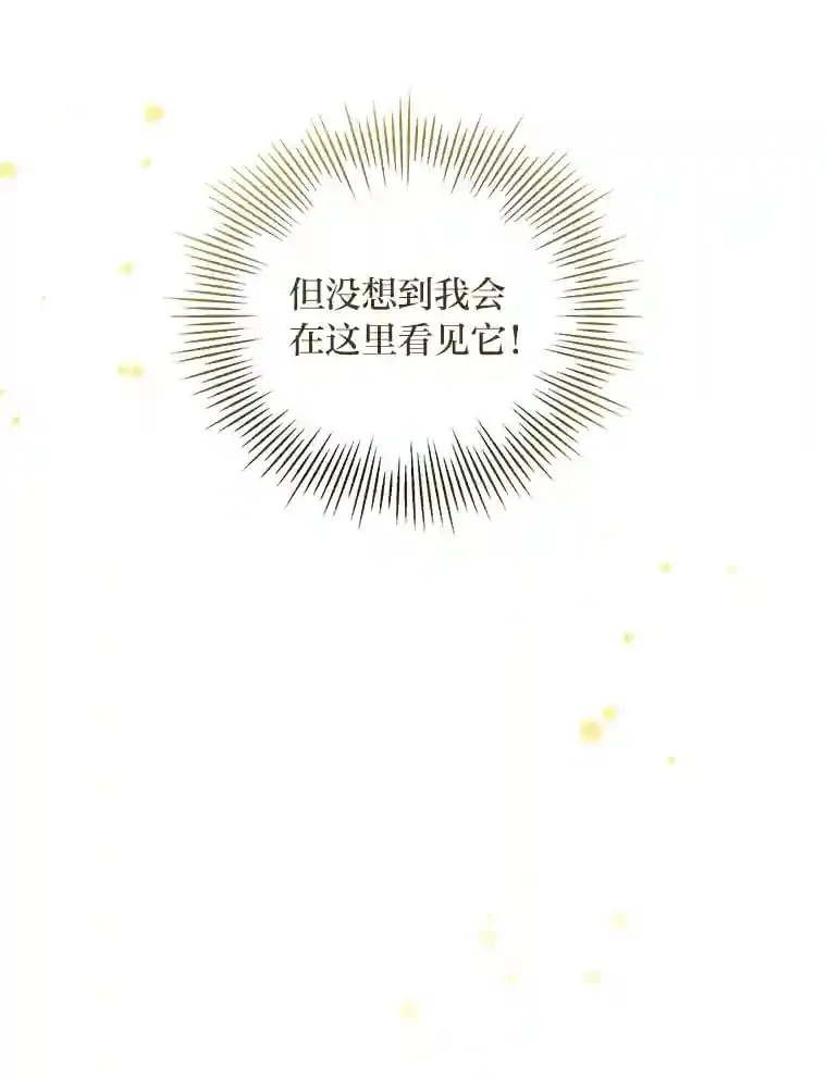 28.粉丝福利 第15页