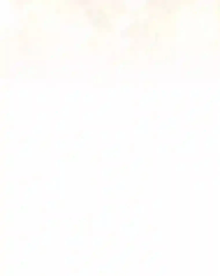 28.粉丝福利 第41页