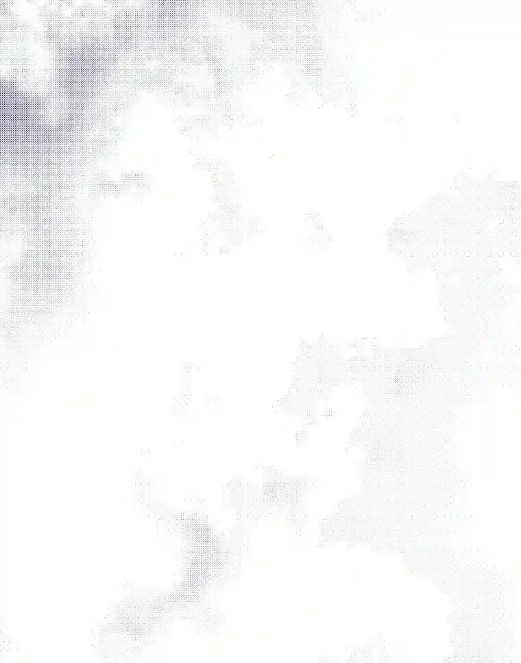 32.惊人的事实 第66页